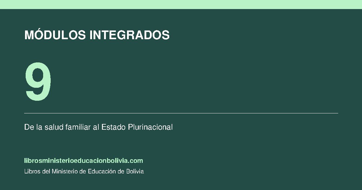 modulos integrados fundamentales bolivia